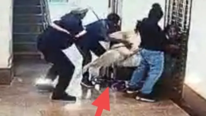 गुरुग्राम में मां के साथ जा रही बच्ची पर लेब्राडोर ने किया हमला। फोटो सोर्स-जागरण फोटो।