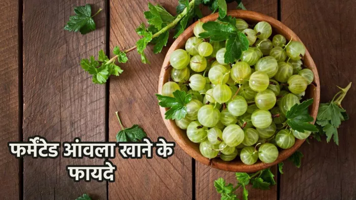 फर्मेंटेड आंवले को खाने से सेहत को होने वाले फायदे