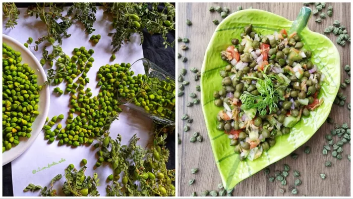 हरे चने की टेस्टी चाट की रेसिपी