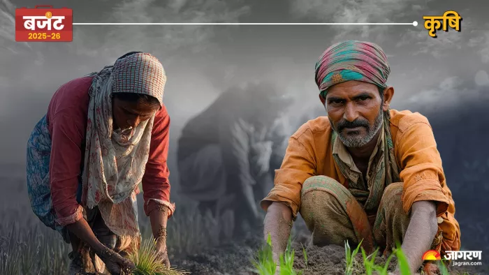 बजट में आम आदमी से जुड़े 10 बड़े एलान।