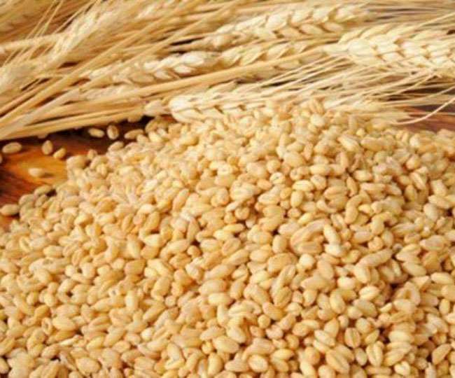 तापमान में हर एक डिग्री सेल्सियस की वृद्धि पर छह हजार किलो गेहूं का उत्पादन प्रभावित हो सकता है।