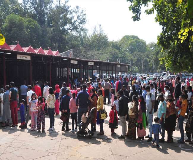 ncr zoo buzzed with spectators again there was more crowd in the enclosure of white tiger elephant and bear jagran special
