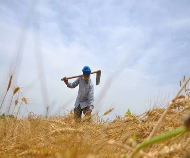 bihar crop damage compensation government denied to give any grant to farmers for february