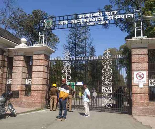 uttarakhand news four state officer reached fri dehradun to learn forest conservation tips
