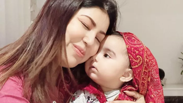 Ramayan Sita Debina Bonnerjee Infected With Influenza B Virus After Return From Vacation/Instagram