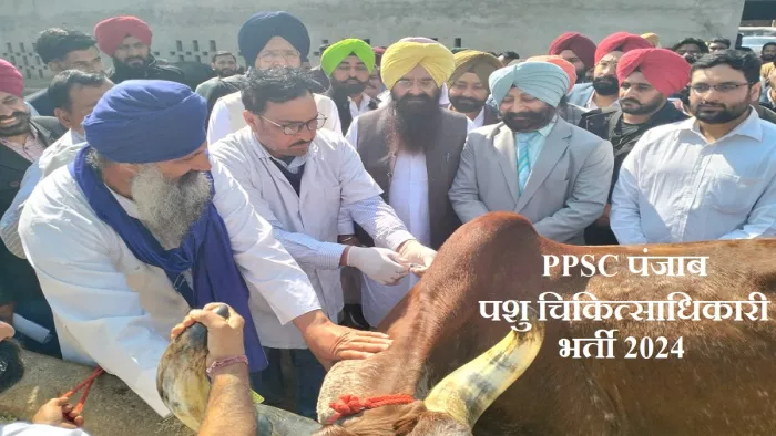 PPSC Veterinary Officer Recruitment 2024: योग्यता मानदंड को लेकर जानकारी फिलहाल संक्षिप्त अधिसूचना में जारी नहीं की गई है।