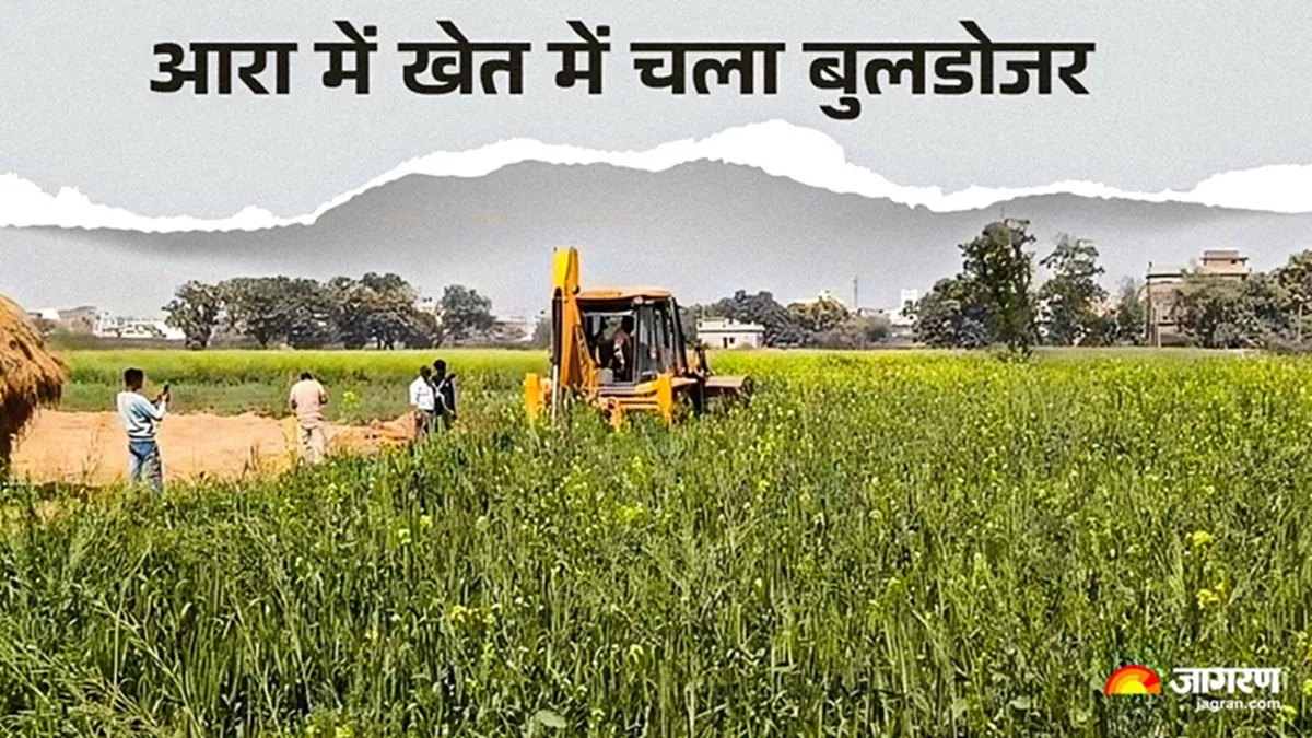Ara News: आरा में बीच खेत में क्यों चलने लगा बुलडोजर? दहाड़ मारकर रोने लगे किसान; फसल किया गया नष्ट