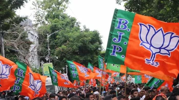 मार्च में बीजेपी को मिलेगा नया राष्ट्रीय अक्ष्यक्ष। (फाइल फोटो)