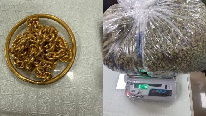 जांच के दौरान मिला गांजा और सोना