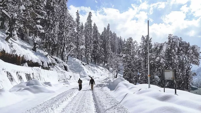 उत्तराखंड के पर्वतीय इलाकों में बर्फबारी के कारण कर्फ्यू जैसी स्थित हो गई है (फोटो- एएनआई)