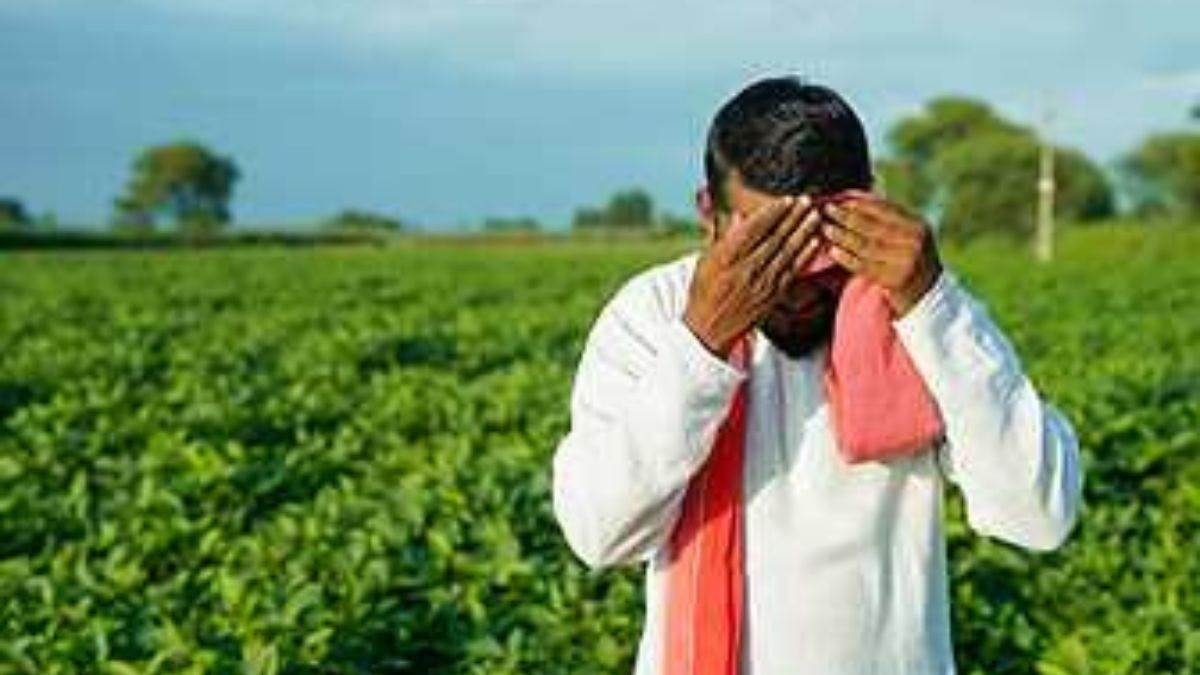 https://www.jagranimages.com/images/newimg/01032025/01_03_2025-kisan_samman_nidhi_news_udpate_23892996.jpg