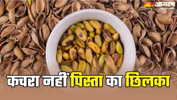 पिस्ता के छिलके: फेंकने से पहले सोचिए (Picture Credit- Freepik)