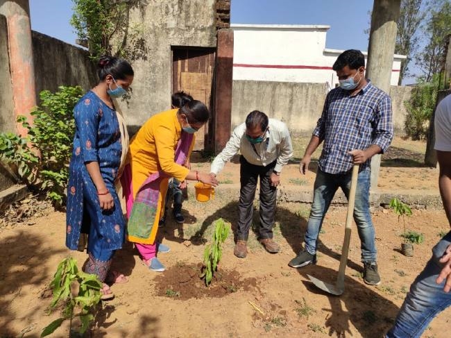 हिदू नववर्ष प्रारंभ होने पर शाखा प्रबंधक ने किया पौधारोपण