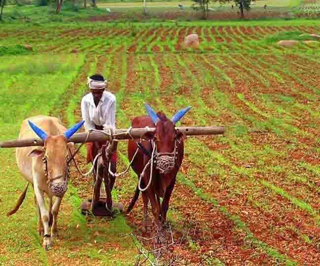 ऑस्ट्रेलियाई विद्वान ने विरोध करने वालों की बातों पर ध्यान नहीं देने को भी कहा