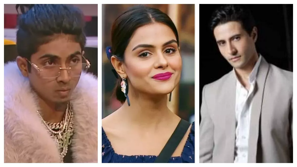 MC Stan नहीं प्रियंका चौधरी थीं बिग बॉस 16 की असली विनर? अपूर्व अग्निहोत्री ने शो को लेकर किया सनसनीखेज खुलासा