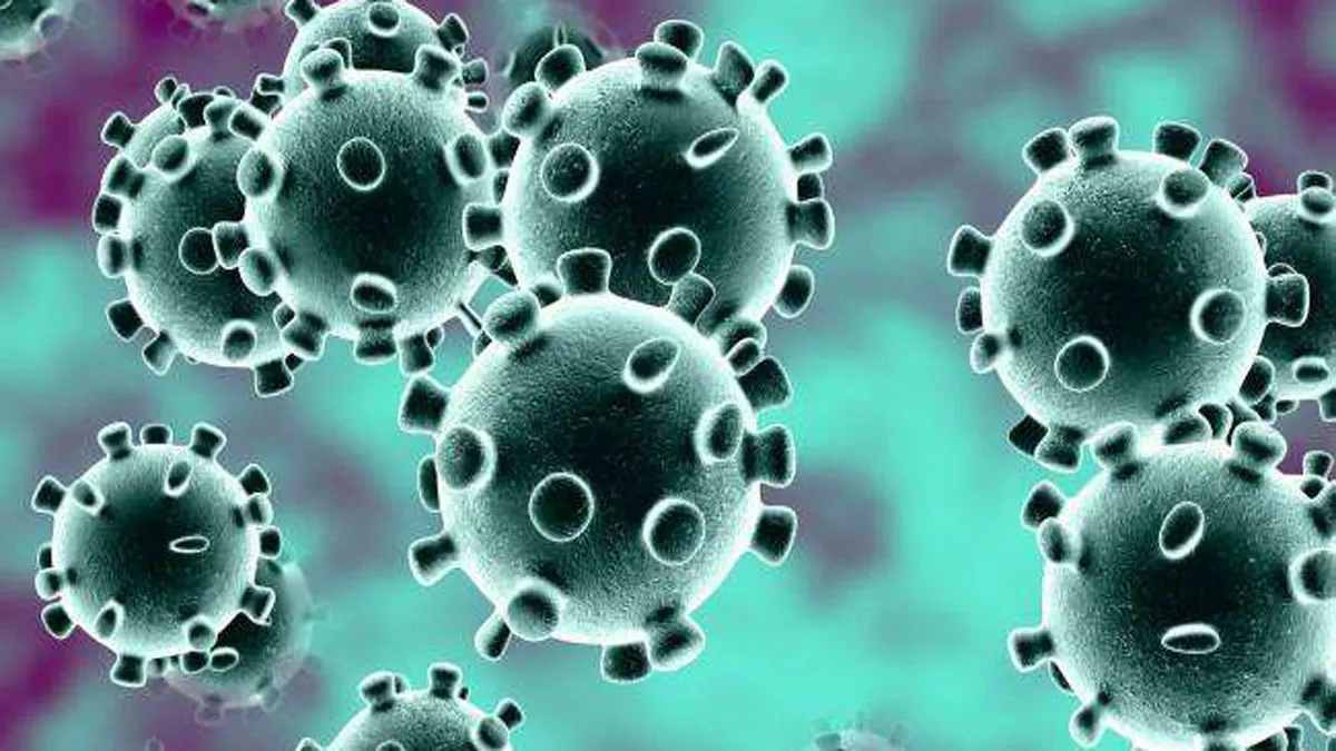 Coronavirus Update: ऊधमसिंह नगर में मिला कोरोना संक्रमण का केस, स्वास्थ्य विभाग ने बढ़ाई सतर्कता