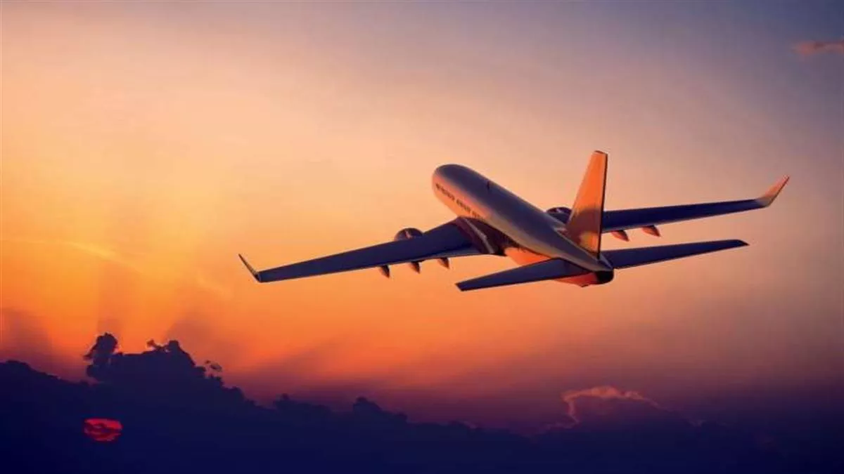 Delhi Airport: दुबई जा रहे विमान की IGI एयरपोर्ट पर सुरक्षित लैंडिंग, उड़ान भरते ही पक्षी से टकरा गया था