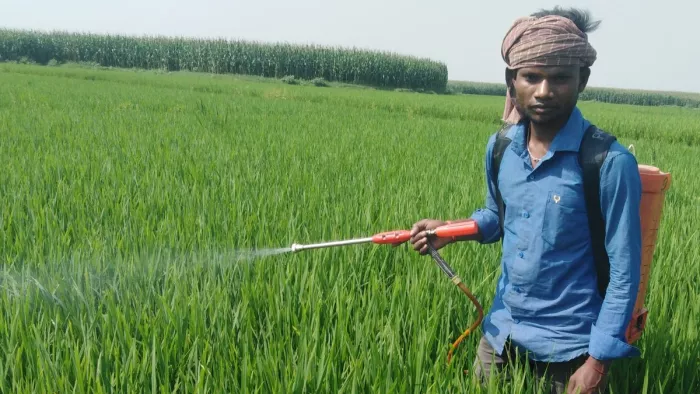डीएपी व यूरिया की किल्लत से किसानों को करना पड़ रहा परेशानी का सामना