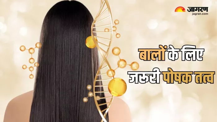 हेल्दी बालों के लिए जरूरी हैं ये पोषक तत्व