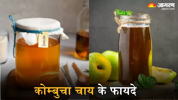 कोम्बुचा चाय पीने से मिलेंगे ढेरों फायदे