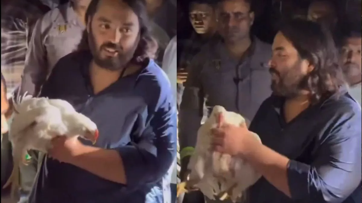 Anant Ambani Viral Video: 'दोगुनी कीमत में दे दो', अनंत अंबानी ने क्यों खरीद लीं सैकड़ों मुर्गियां?