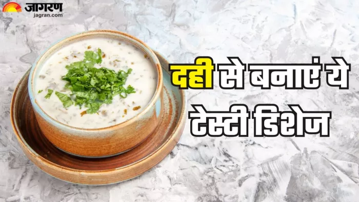 गर्मियों में ट्राई करें दही की ये डिशेज (Picture Credit- Freepik)