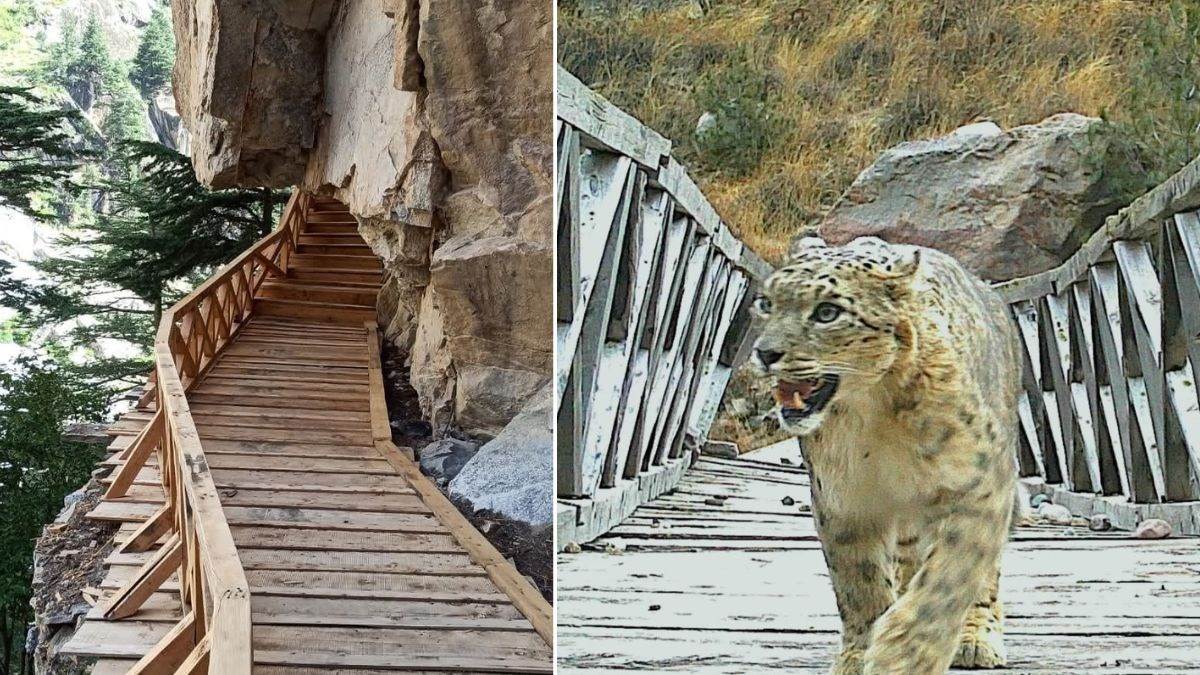 gangotri national park reopens embark on an adventure in the himalayas in uttarkashi