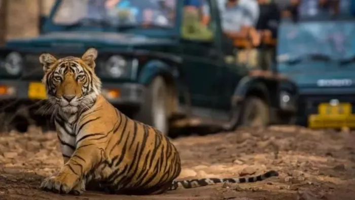 कार्बेट पार्क का सफर फिर हुआ महंगा।