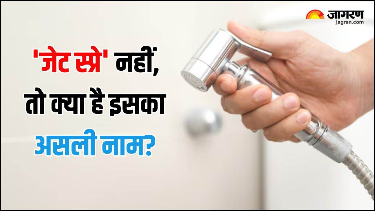 not jet spray its something else the small shower next to the western toilet do you know its real name