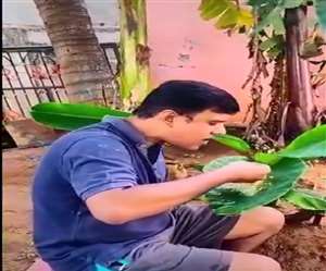 इस वीडियो को भारतीय वन सेवा के अधिकारी ने शेयर किया है