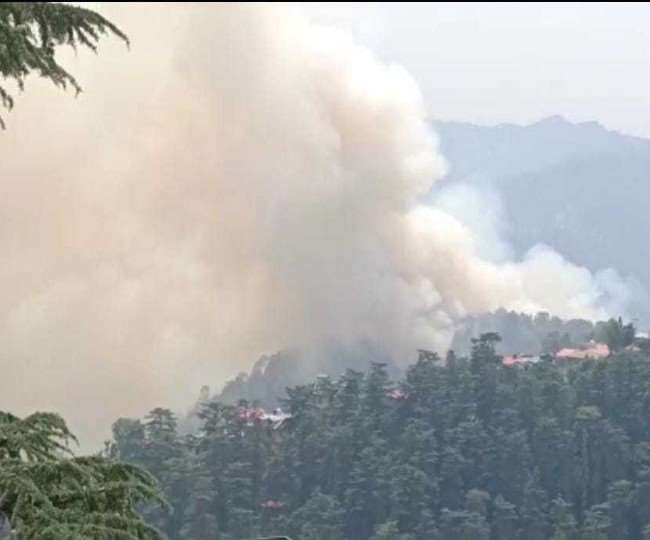 forest fire reaches balika ashram in shimla 90 children shifted