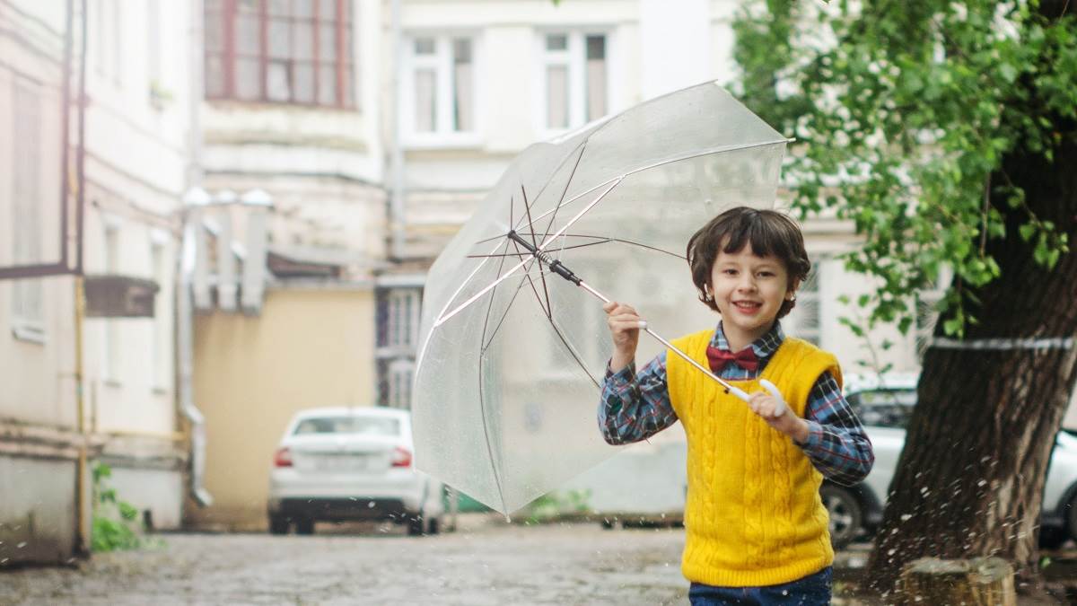 10 Best Umbrella Online: बारिश हो रही है? बचने के लिए यहां से फटाफट ऑर्डर करें बढ़िया क्वालिटी का छाता