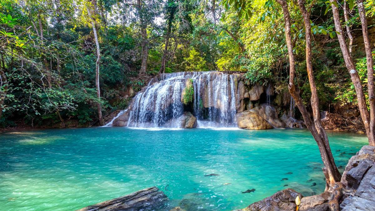 https://www.jagranimages.com/images/newimg/01052023/01_05_2023-meghalaya_f_23400158.jpg