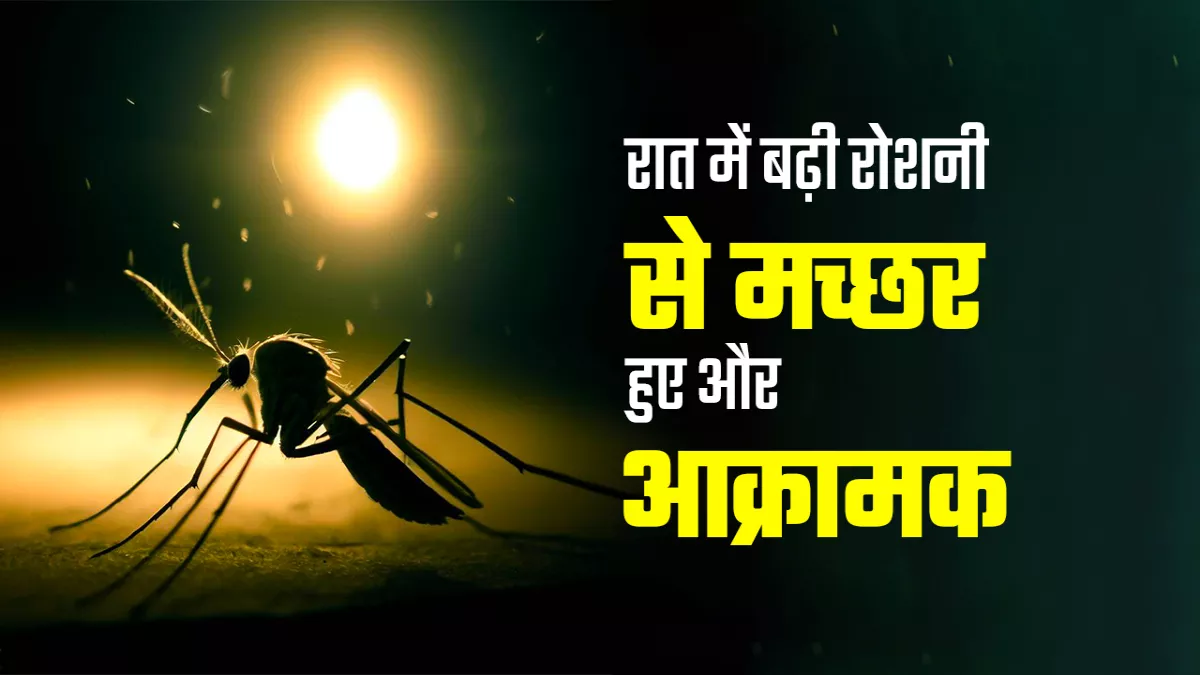 शहरी प्रकाश प्रदूषण बना रहा मच्छरों को अधिक घातक,  मच्छरों से फैलने वाले रोग बढ़े