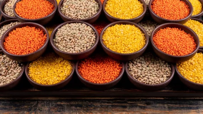 Healthy Diet: डाइट में शामिल करें ये 4 हेल्दी चीज़ें, हमेशा रहेंगे ऊर्जा से भरपूर