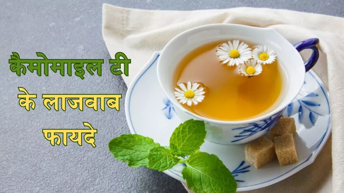 Chamomile Tea Benefits: अगर आप भी रातभर बदलते रहते हैं करवटें, तो पीएं कैमोमाइल टी, जानें इसके अन्य फायदे