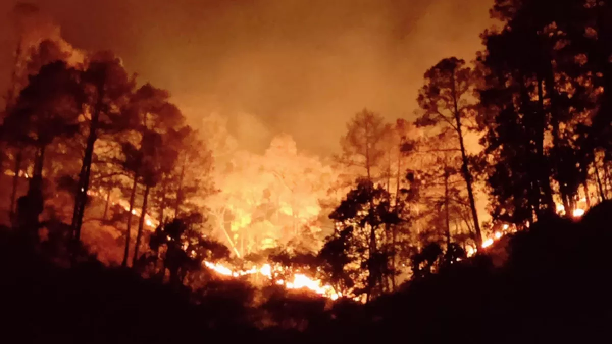 Uttarakhand Forest Fire: कई हेक्‍टेयर जंगल खाक होने के बाद विभाग को हुआ अहसास, वन और जन के बीच है कुछ खटास
