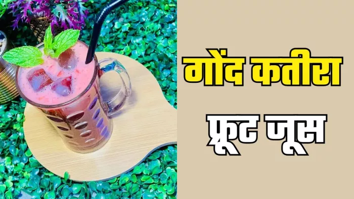 गर्मियों में पिएं गोंद कतीरा फ्रूट ड्रिंक (Picture Credit- Freepik)