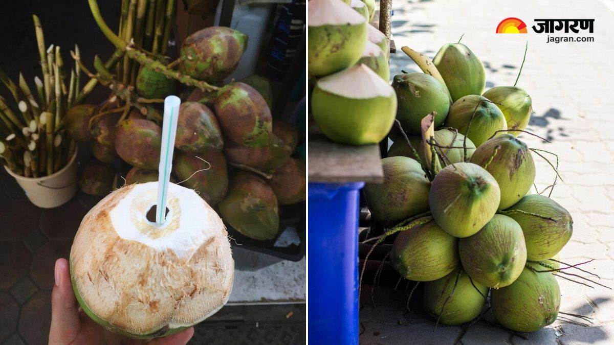 identify water filled coconuts in 4 easy ways the vendor wont want you to know these tricks