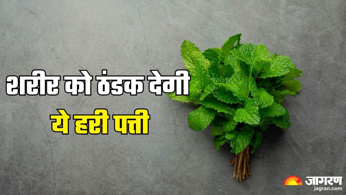 https://www.jagranimages.com/images/newimg/01052025/01_05_2025-mint_leaves_benefits_23928994.jpg