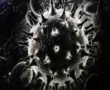 जिले में अब ब्लैक फंगस के 55 मरीज मिल चुके हैं। इसमें बरेली के 26 मरीज शामिल हैं।