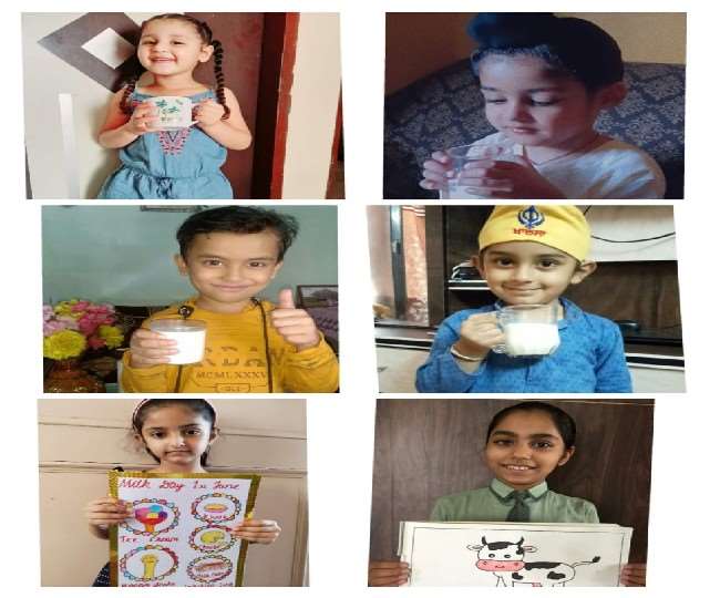 जगराओं में जितेंद्रा ग्रीन फील्ड स्कूल गुरूसर सुधार में मनाया विश्व