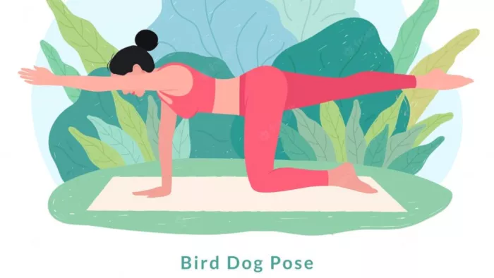 Yoga for Back Pain: गर्दन, कमर और पीठ दर्द के लिए फायदेमंद है बर्ड-डॉग पोज