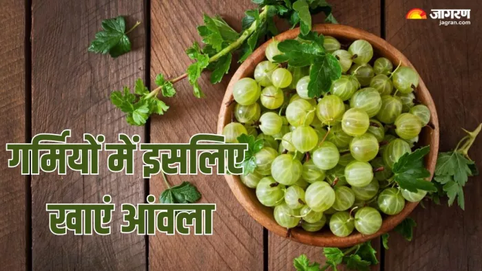 गर्मियों में आंवला खाने के फायदे (Picture Credit- Freepik)