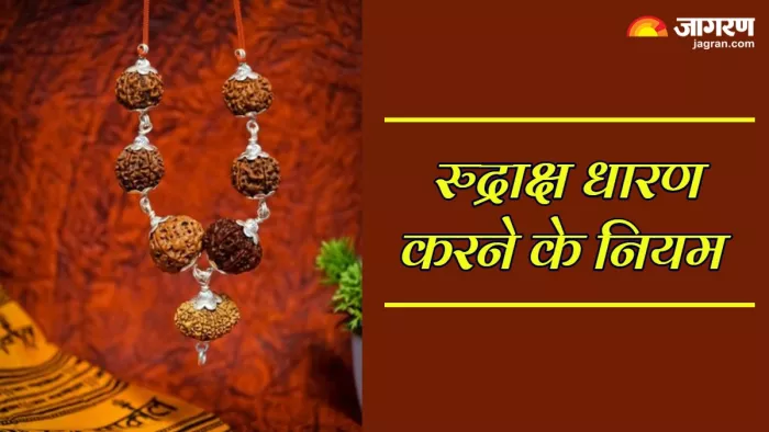 Rudraksha Niyam रुद्राक्ष धारण करने के नियम। (Picture Credit: Freepik)