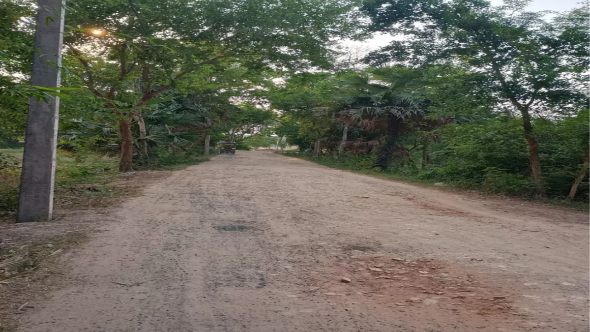 Nawada News: नवादा में 8 गांवों को जोड़ने वाली सड़क जर्जर, बरसात में बढ़ेगी परेशानी