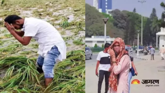 पंजाब में 3 जून तक आंधी के साथ बारिश की संभावना है। फाइल फोटो