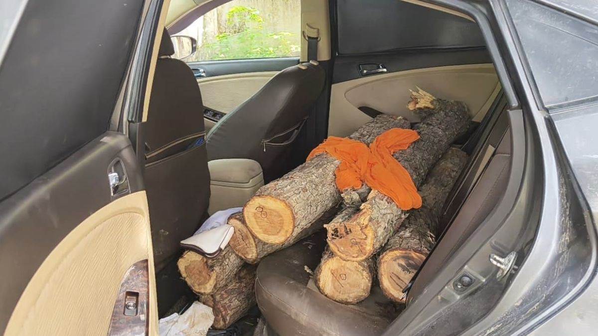 khair wood being smuggled in car smugglers cut three trees forest guards seized vehicle