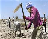 Reality of Mnrega : पांच महीने में 24 दिन ही मिला काम, रोजी रोटी को मोहताज मनरेगा मजदूर Aligarh News
