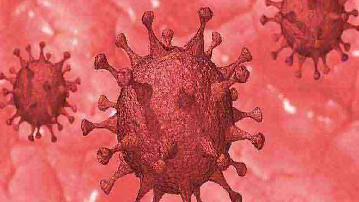 Uttarakhand Coronavirus News: उत्‍तराखंड में आज मिले कोरोना के 40 नए मामले, 59 संक्रमित हुए स्‍वस्‍थ
